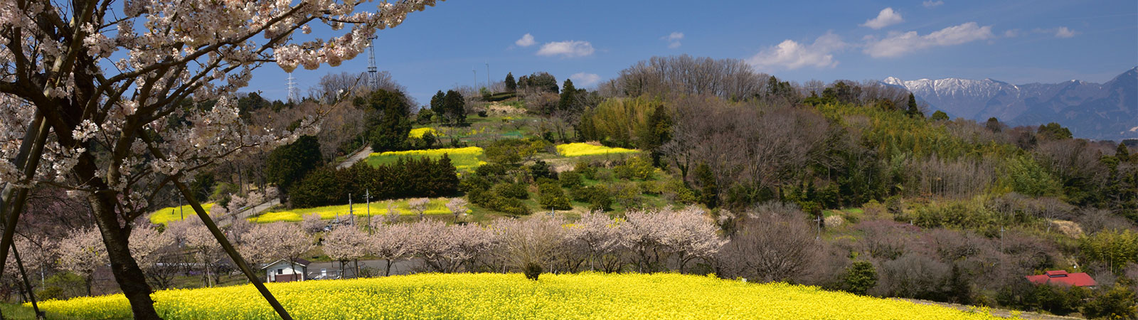 想い出を生きる力に。よこはま回想法倶楽部